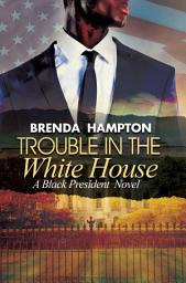 Icon image Trouble in the White House: A Black President Novel