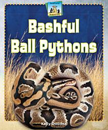 Icon image Bashful Ball Pythons
