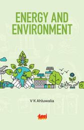 Icon image Energy and Environment