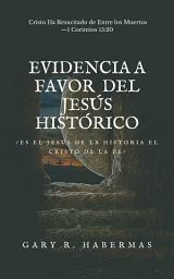 Icon image EVIDENCIA A FAVOR DEL JESÚS HISTÓRICO: ¿ES EL JESÚS DE LA HISTORIA EL CRISTO DE LA FE?