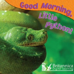 Icon image