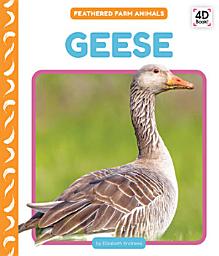 Icon image Geese