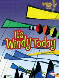 Icon image It's Windy Today