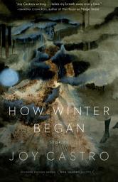 Icon image How Winter Began: Stories