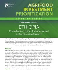 Icon image Ethiopia: Cost effective options for inclusive and sustainable development