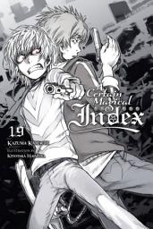 Icon image A Certain Magical Index: A Certain Magical Index, Vol. 19 (light novel)