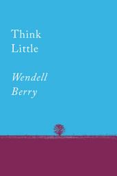 Icon image Think Little: Essays