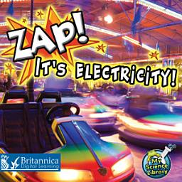 Icon image Zap! It's Electricity!