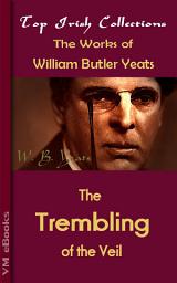 Icon image The Trembling of the Veil: Top Irish Collections