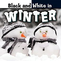 Icon image Black and White in Winter