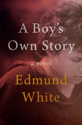 Icon image A Boy's Own Story: A Novel