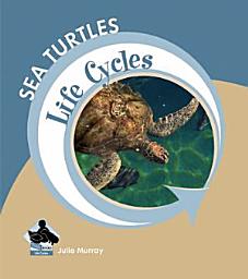 Icon image Sea Turtles