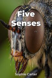 Icon image Five Senses