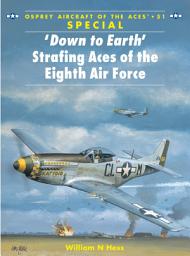 Icon image Down to Earth' Strafing Aces of the Eighth Air Force
