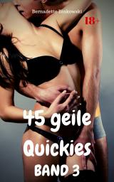 Icon image 45 geile Quickies Band 3: Perverser Erotiksammler