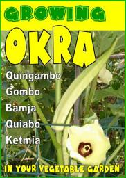 Icon image Growing Okra in your vegetable garden.: Growing Okra in your vegetable garden.