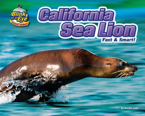Icon image California Sea Lion: Fast & Smart!