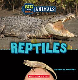 Icon image Reptiles (Wild World: Big and Small Animals)