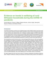 Icon image Evidence on trends in wellbeing of rural Ethiopian households during the COVID-19 pandemic