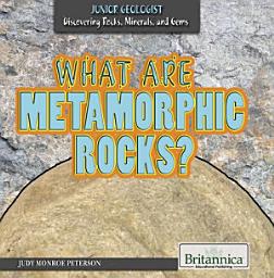 Icon image What Are Metamorphic Rocks?