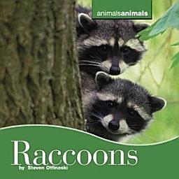 Icon image Raccoons