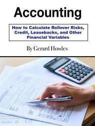 Icon image Accounting: How to Calculate Rollover Risks, Credit, Leasebacks, and Other Financial Variables
