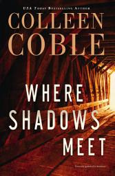 Icon image Where Shadows Meet: A Romantic Suspense Novel