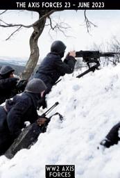 Icon image The Axis Forces 23