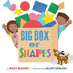 Icon image Big Box of Shapes: Read Along or Enhanced eBook