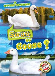 Icon image Swan or Goose?