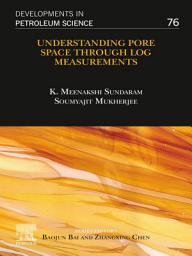 Icon image Understanding Pore Space through Log Measurements