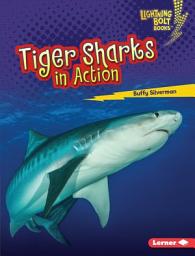 Icon image Tiger Sharks in Action