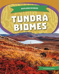 Icon image Tundra Biomes