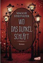 Icon image Wo das Dunkel schläft (Band 4)