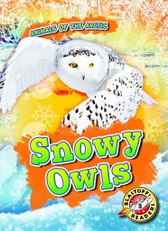 Icon image Snowy Owls