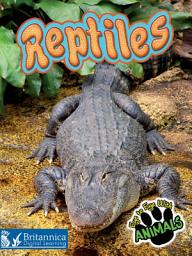 Icon image Reptiles