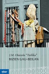 Icon image Bizien gaubeilan