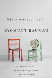 Icon image What Use is Sociology?: Conversations with Michael Hviid Jacobsen and Keith Tester