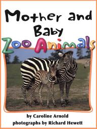 Icon image Mother and Baby Zoo Animals