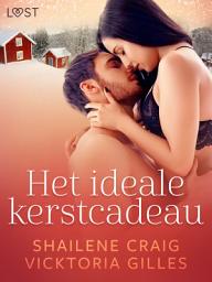 Icon image Het ideale kerstcadeau - erotisch kerstverhaal