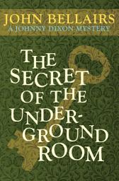 Icon image The Secret of the Underground Room