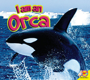 Icon image