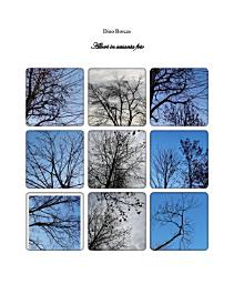 Icon image Alberi in sessanta foto