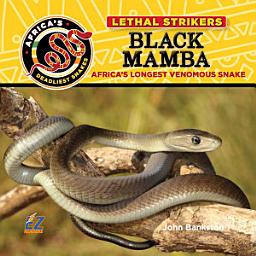 Icon image Black Mamba: Africa's Longest Venomous Snake