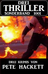 Icon image Drei Thriller Sonderband 1001 - Drei Krimis von Pete Hackett