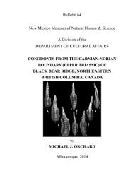 Icon image CONODONTS FROM THE CARNIAN-NORIAN BOUNDARY (UPPER TRIASSIC) OF BLACK BEAR RIDGE, NORTHEASTERN BRITISH COLUMBIA, CANADA: Bulletin 64