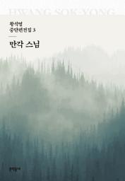 Icon image 만각 스님: 황석영 중단편전집 3