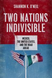Icon image Two Nations Indivisible: Mexico, the United States, and the Road Ahead
