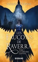 Icon image Les Faucons de Raverra, T1 : La Sorcière captive