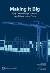 Icon image Making It Big: Why Developing Countries Need More Large Firms